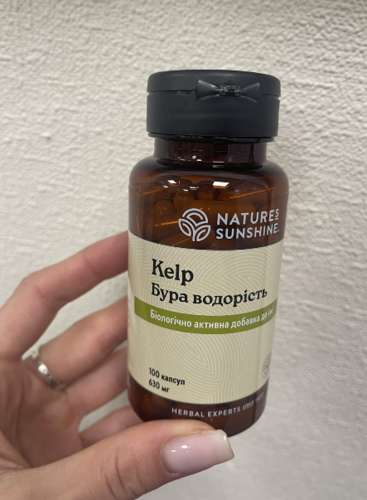 Фото Келп бура водоросль